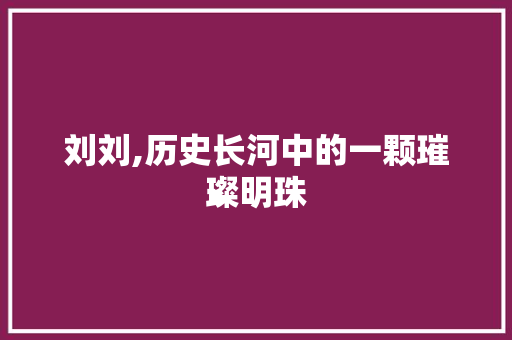 刘刘,历史长河中的一颗璀璨明珠