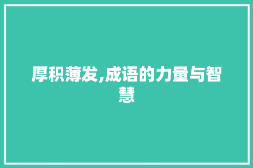 厚积薄发,成语的力量与智慧