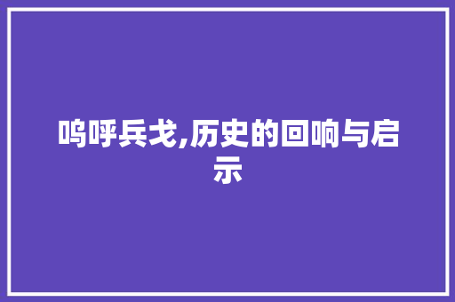 呜呼兵戈,历史的回响与启示