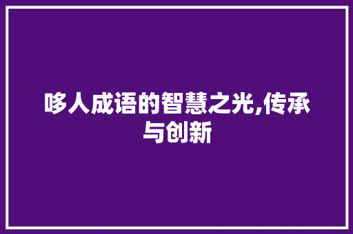 哆人成语的智慧之光,传承与创新
