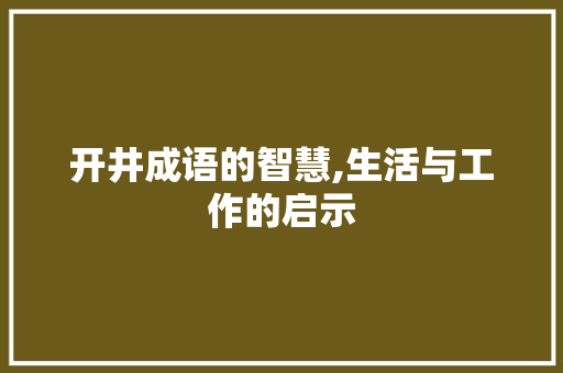 开井成语的智慧,生活与工作的启示