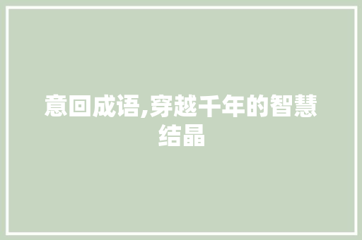 意回成语,穿越千年的智慧结晶
