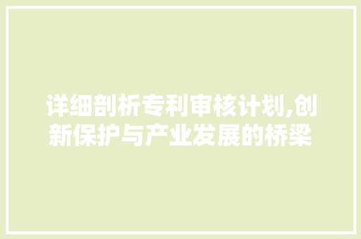 详细剖析专利审核计划,创新保护与产业发展的桥梁