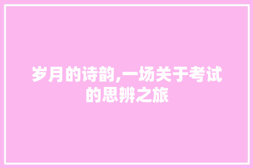 岁月的诗韵,一场关于考试的思辨之旅