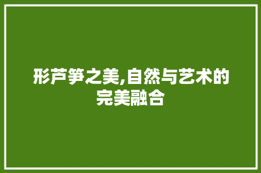 形芦笋之美,自然与艺术的完美融合