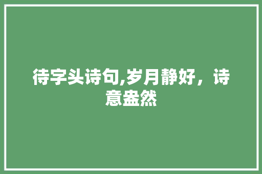 待字头诗句,岁月静好，诗意盎然