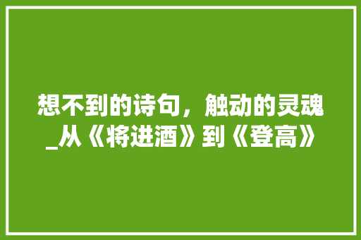 想不到的诗句，触动的灵魂_从《将进酒》到《登高》