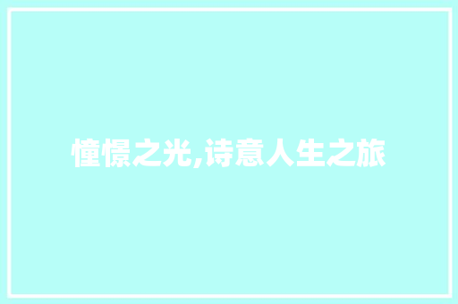 憧憬之光,诗意人生之旅