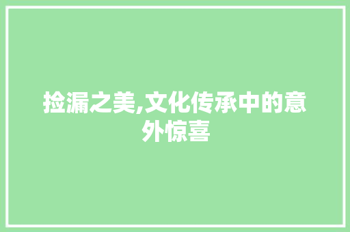 捡漏之美,文化传承中的意外惊喜