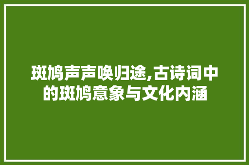 斑鸠声声唤归途,古诗词中的斑鸠意象与文化内涵