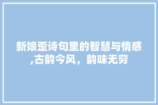 新娘歪诗句里的智慧与情感,古韵今风，韵味无穷