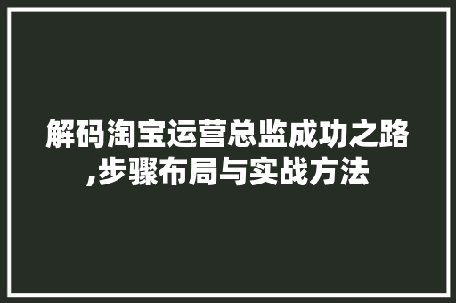 解码淘宝运营总监成功之路,步骤布局与实战方法