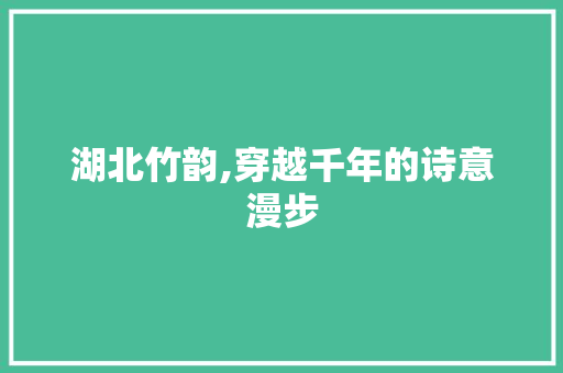 湖北竹韵,穿越千年的诗意漫步