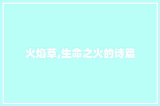 火焰草,生命之火的诗篇