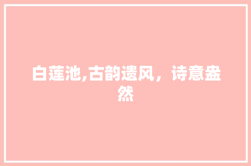 白莲池,古韵遗风，诗意盎然