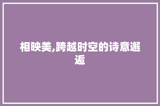 相映美,跨越时空的诗意邂逅