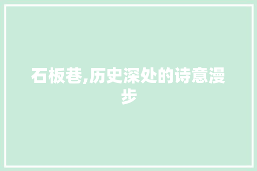 石板巷,历史深处的诗意漫步