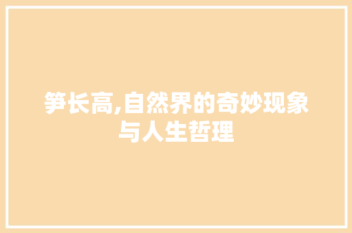笋长高,自然界的奇妙现象与人生哲理
