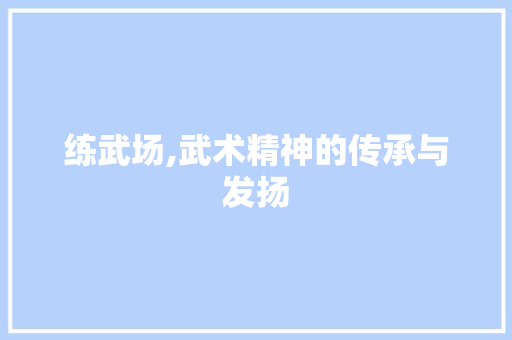 练武场,武术精神的传承与发扬