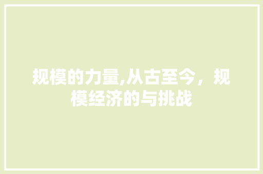 规模的力量,从古至今，规模经济的与挑战