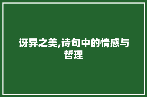 讶异之美,诗句中的情感与哲理