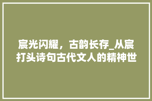 宸光闪耀，古韵长存_从宸打头诗句古代文人的精神世界