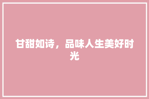 甘甜如诗，品味人生美好时光