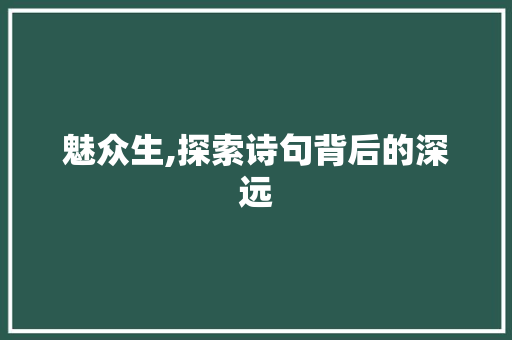 魅众生,探索诗句背后的深远