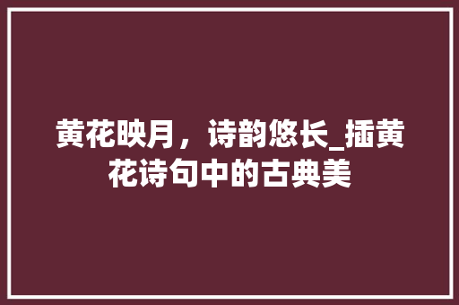 黄花映月，诗韵悠长_插黄花诗句中的古典美
