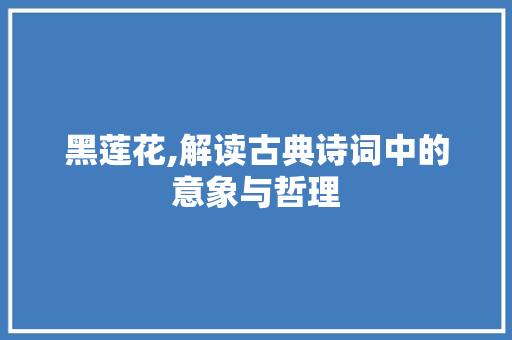 黑莲花,解读古典诗词中的意象与哲理
