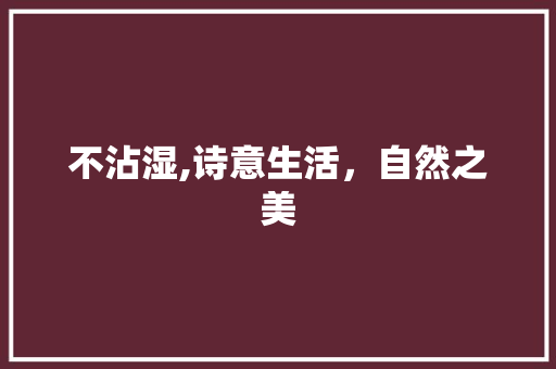 不沾湿,诗意生活，自然之美