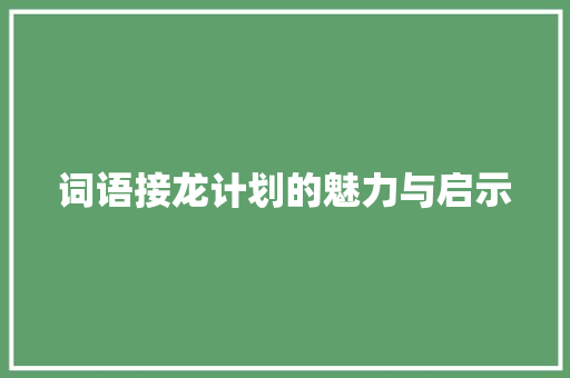 词语接龙计划的魅力与启示