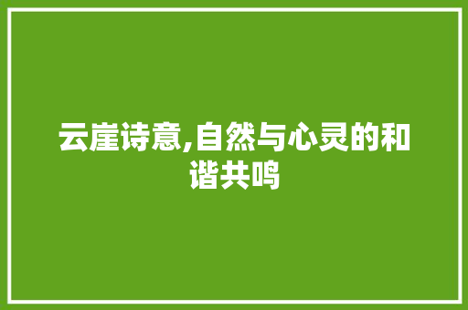 云崖诗意,自然与心灵的和谐共鸣