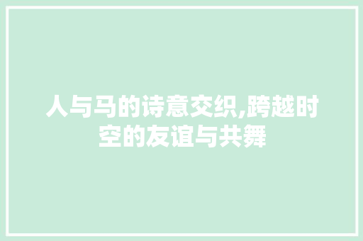 人与马的诗意交织,跨越时空的友谊与共舞