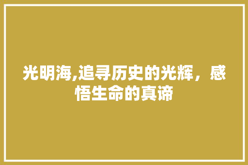 光明海,追寻历史的光辉，感悟生命的真谛