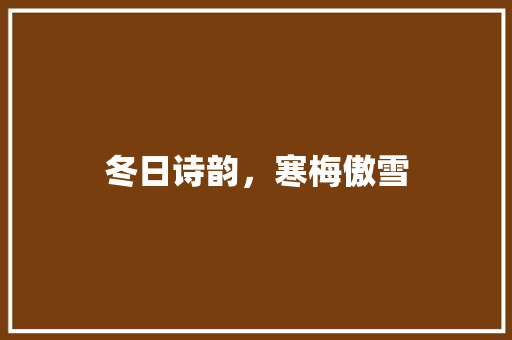冬日诗韵，寒梅傲雪
