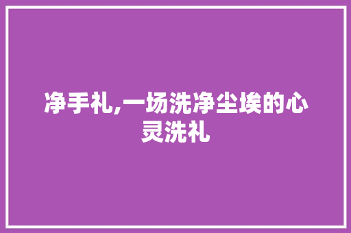 净手礼,一场洗净尘埃的心灵洗礼