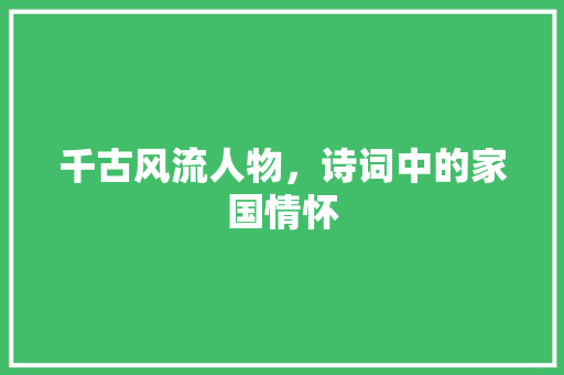 千古风流人物，诗词中的家国情怀