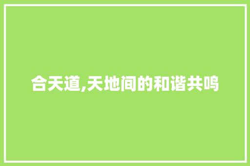合天道,天地间的和谐共鸣