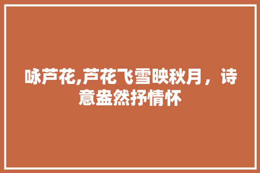 咏芦花,芦花飞雪映秋月，诗意盎然抒情怀