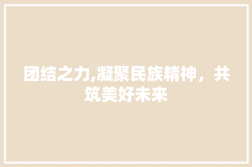 团结之力,凝聚民族精神，共筑美好未来