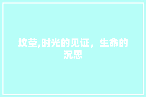 坟茔,时光的见证，生命的沉思