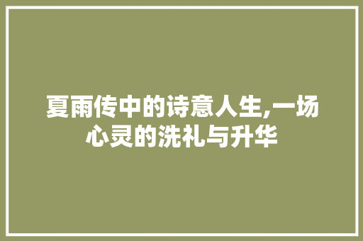 夏雨传中的诗意人生,一场心灵的洗礼与升华