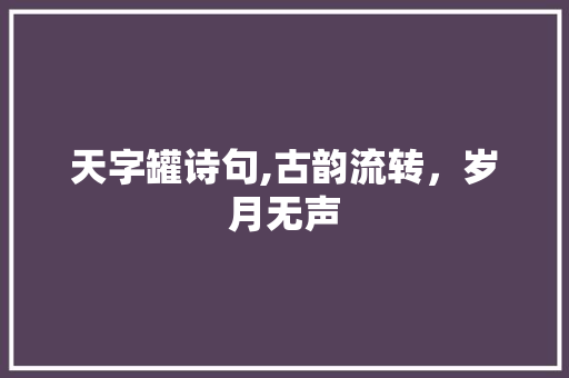 天字罐诗句,古韵流转，岁月无声