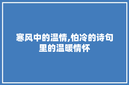 寒风中的温情,怕冷的诗句里的温暖情怀