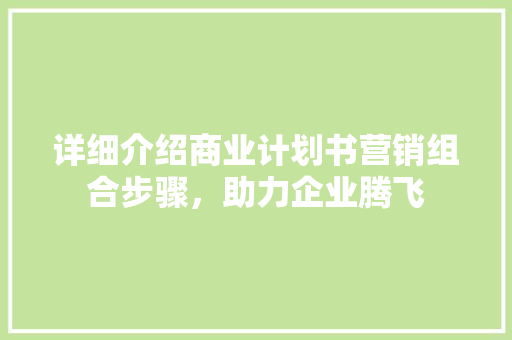 详细介绍商业计划书营销组合步骤，助力企业腾飞