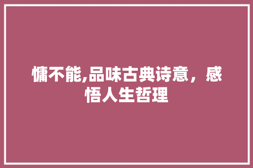 慵不能,品味古典诗意，感悟人生哲理