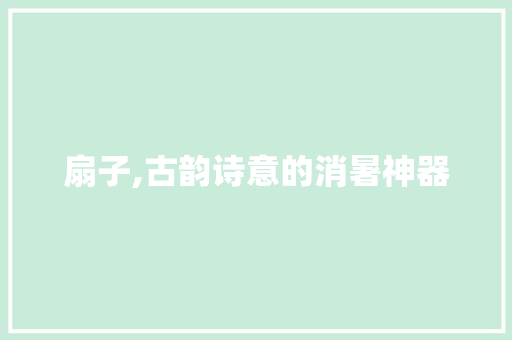 扇子,古韵诗意的消暑神器