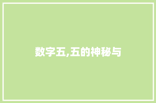 数字五,五的神秘与