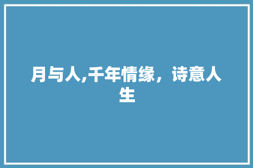月与人,千年情缘，诗意人生